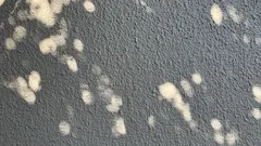 Patroon van zonlicht en schaduwen op een betonnen textuur muur