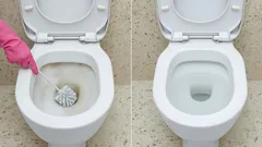 Gooi het 's nachts in het toilet en 's ochtends zal het toilet stralen: experts hebben een effectieve methode ontdekt