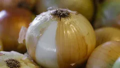 Verse gele uien op een markt, close-up overzicht.